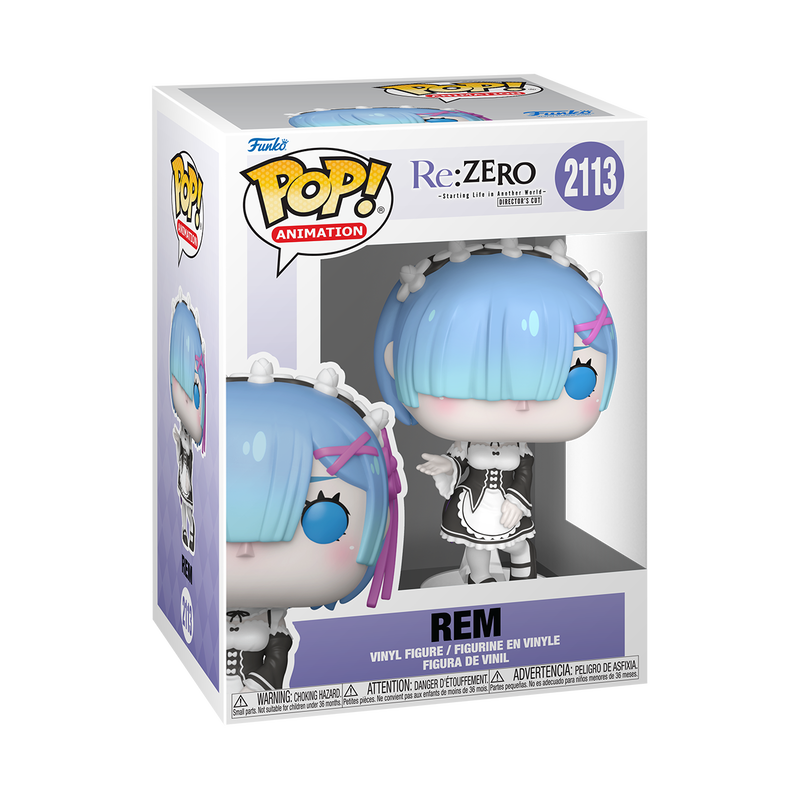 Re:ZERO - Rem Pop! Chase Bundle