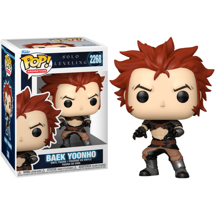 Solo Leveling - Baek Yoonho Pop!