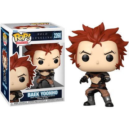Solo Leveling - Baek Yoonho Pop!