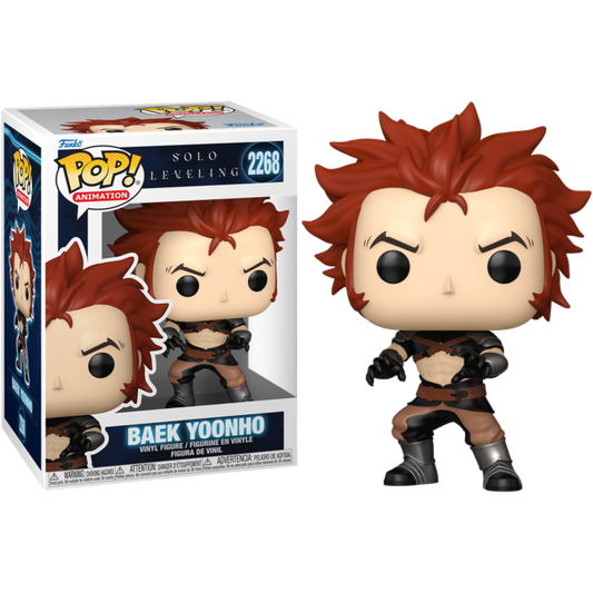 Solo Leveling - Baek Yoonho Pop!