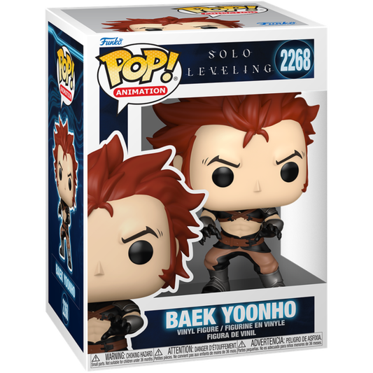 Solo Leveling - Baek Yoonho Pop!
